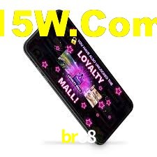 Premium Interface br88