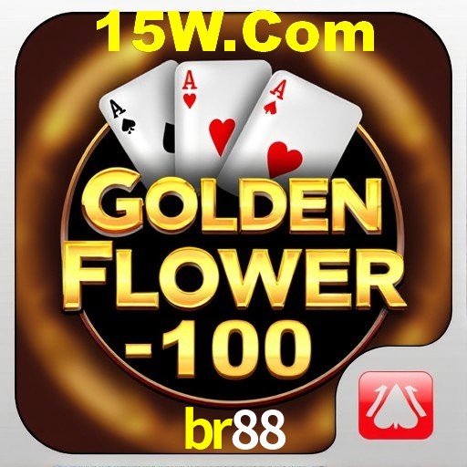 Interface Premium br88